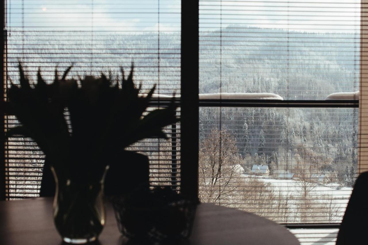 Apartamenty 'Okno Z Widokiem' Висла Экстерьер фото
